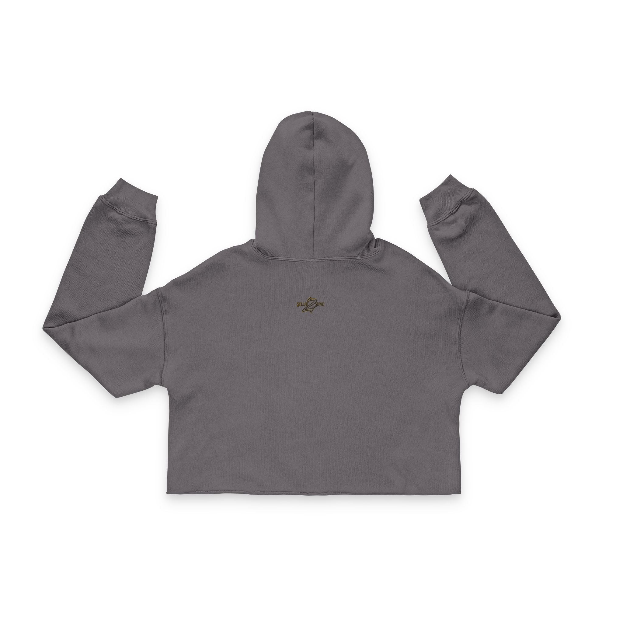Ancestry Collection- PTSD Cropped Hoodie